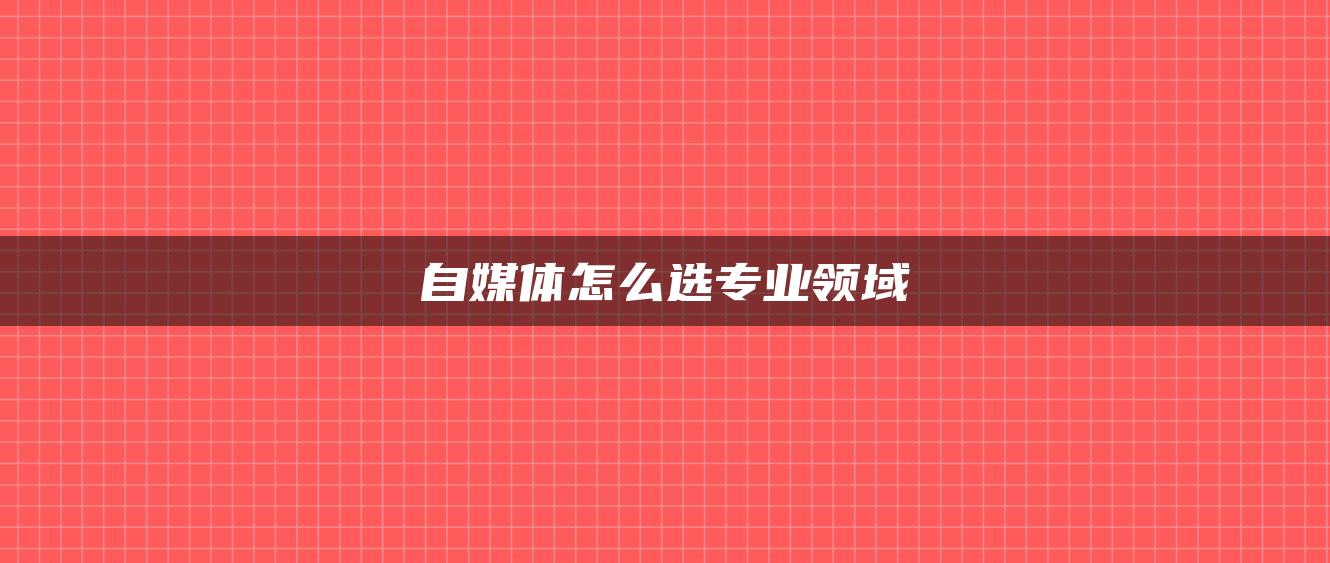 自媒體怎么選專業(yè)領域