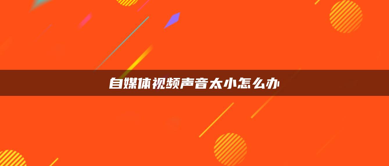 自媒體視頻聲音太小怎么辦