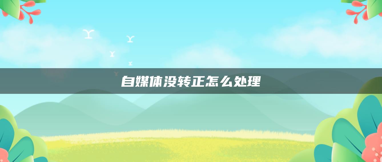 自媒體沒轉(zhuǎn)正怎么處理