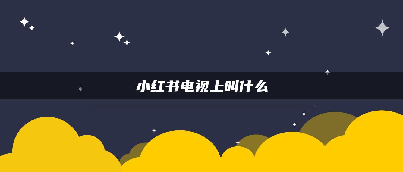 小紅書電視上叫什么