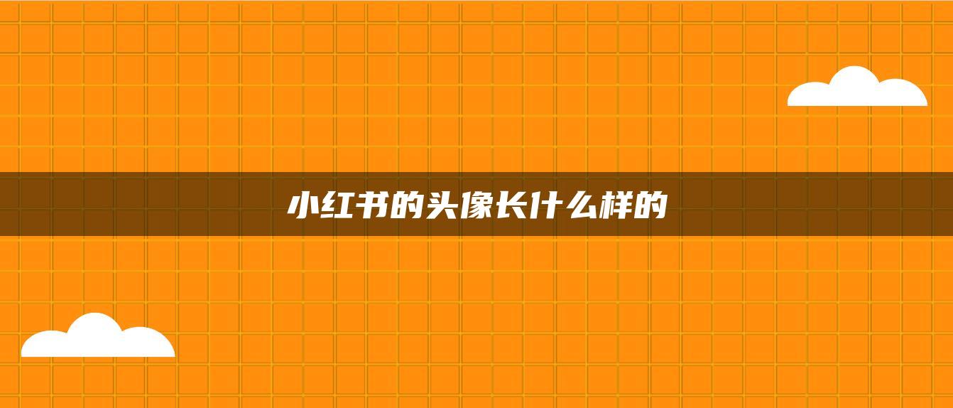 小紅書的頭像長什么樣的