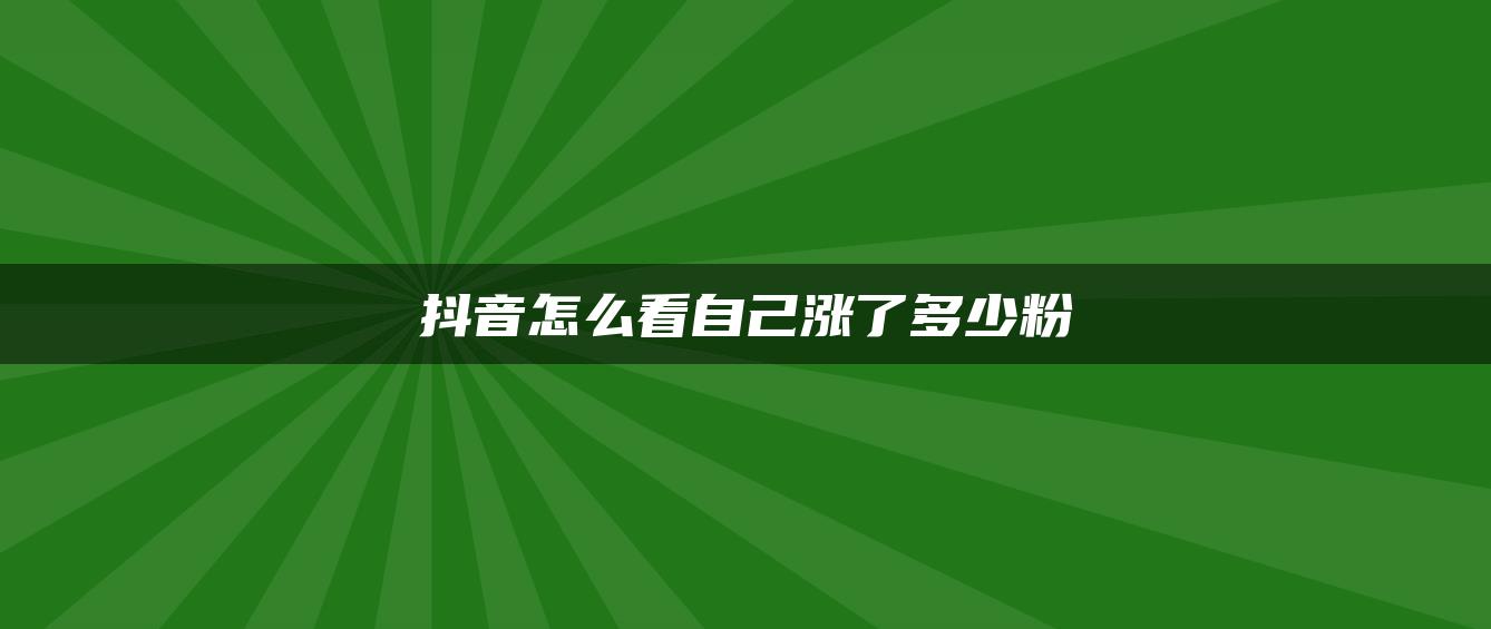 抖音怎么看自己漲了多少粉