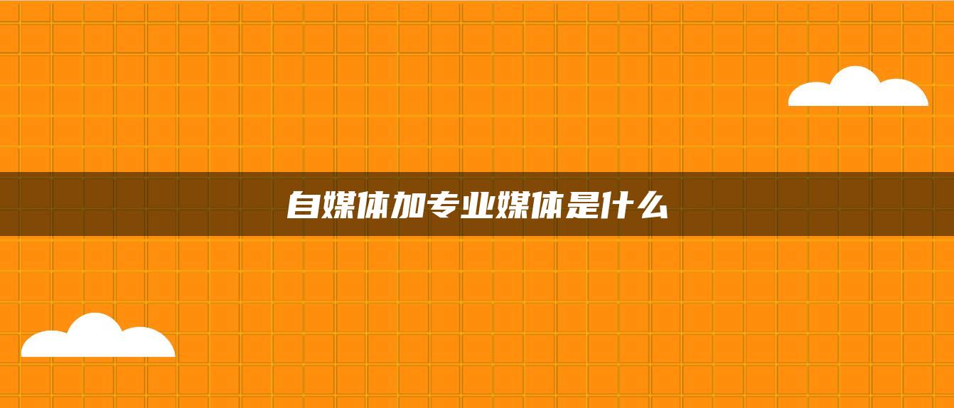 自媒體加專業(yè)媒體是什么