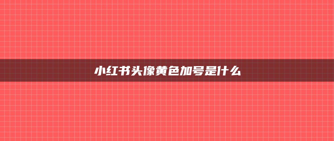 小紅書頭像黃色加號是什么