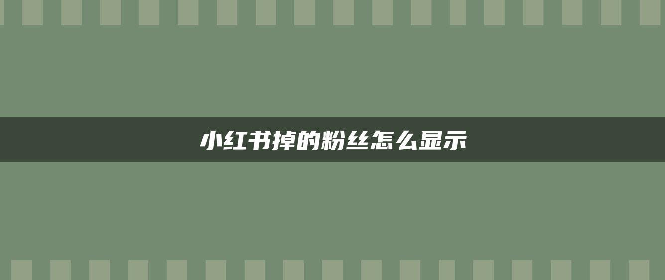 小紅書掉的粉絲怎么顯示