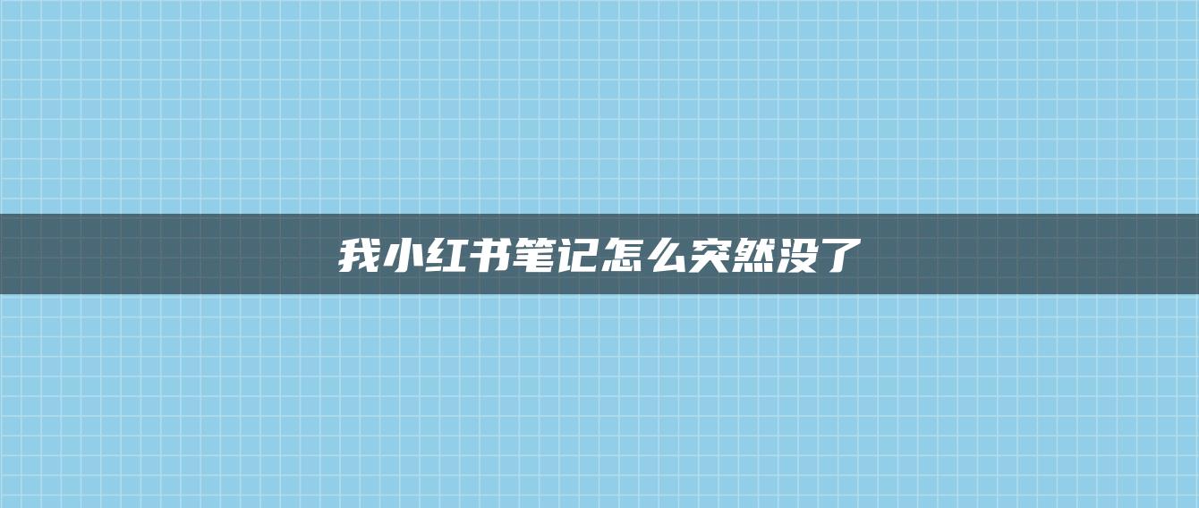 我小紅書(shū)筆記怎么突然沒(méi)了