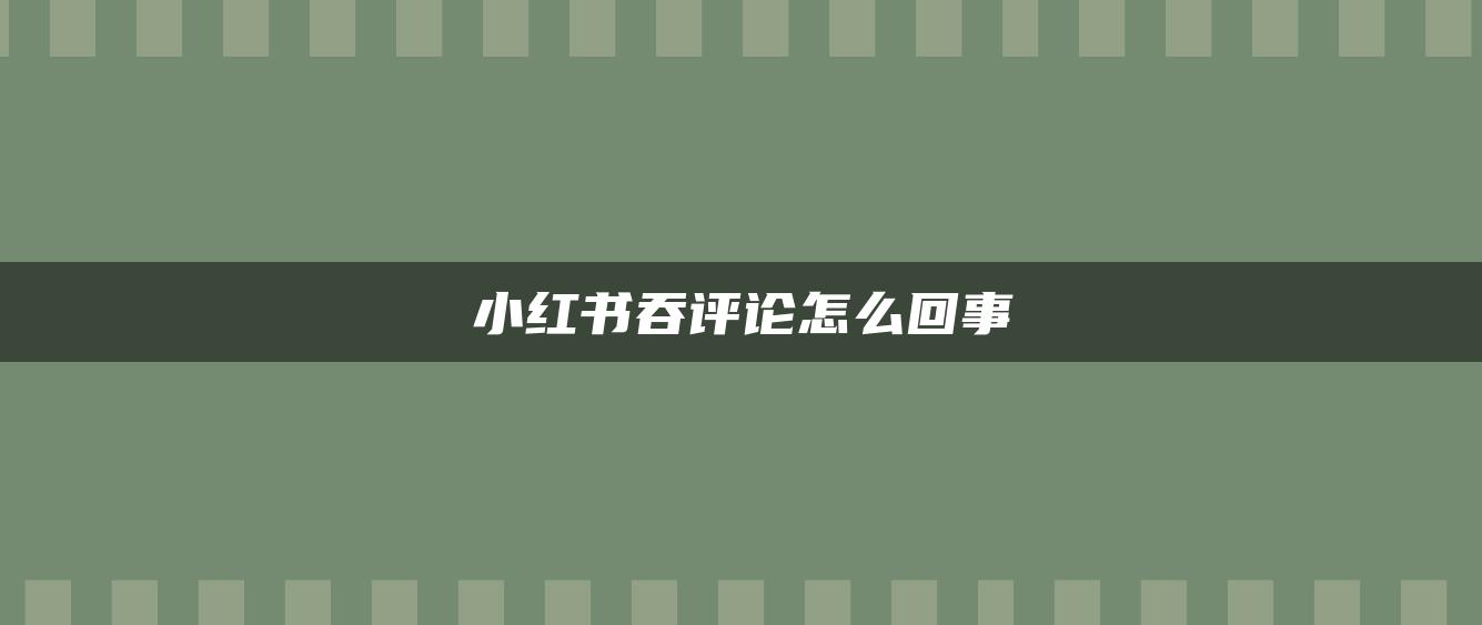 小紅書吞評(píng)論怎么回事