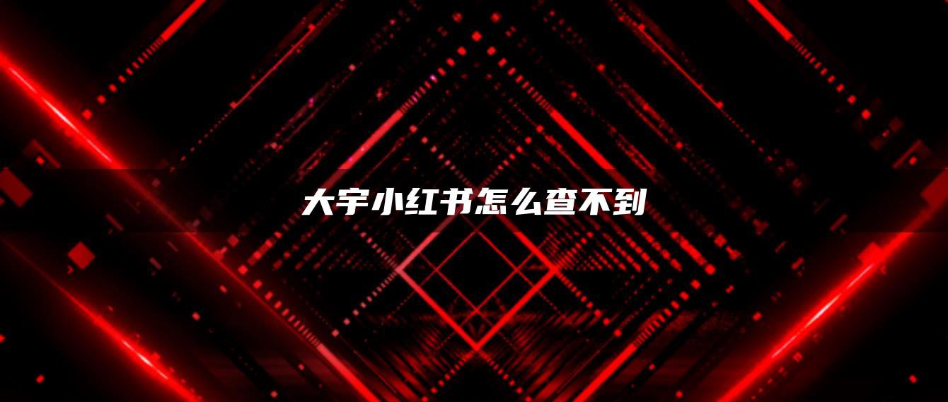 大宇小紅書怎么查不到