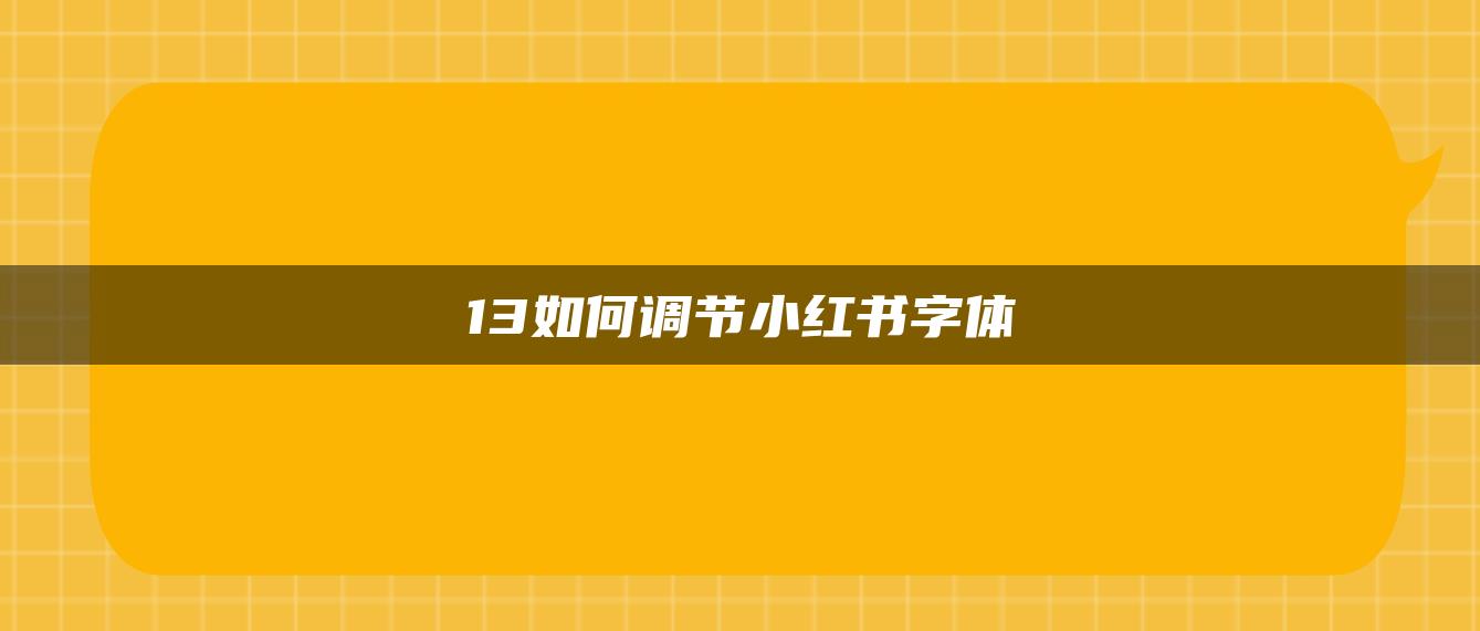 13如何調(diào)節(jié)小紅書(shū)字體