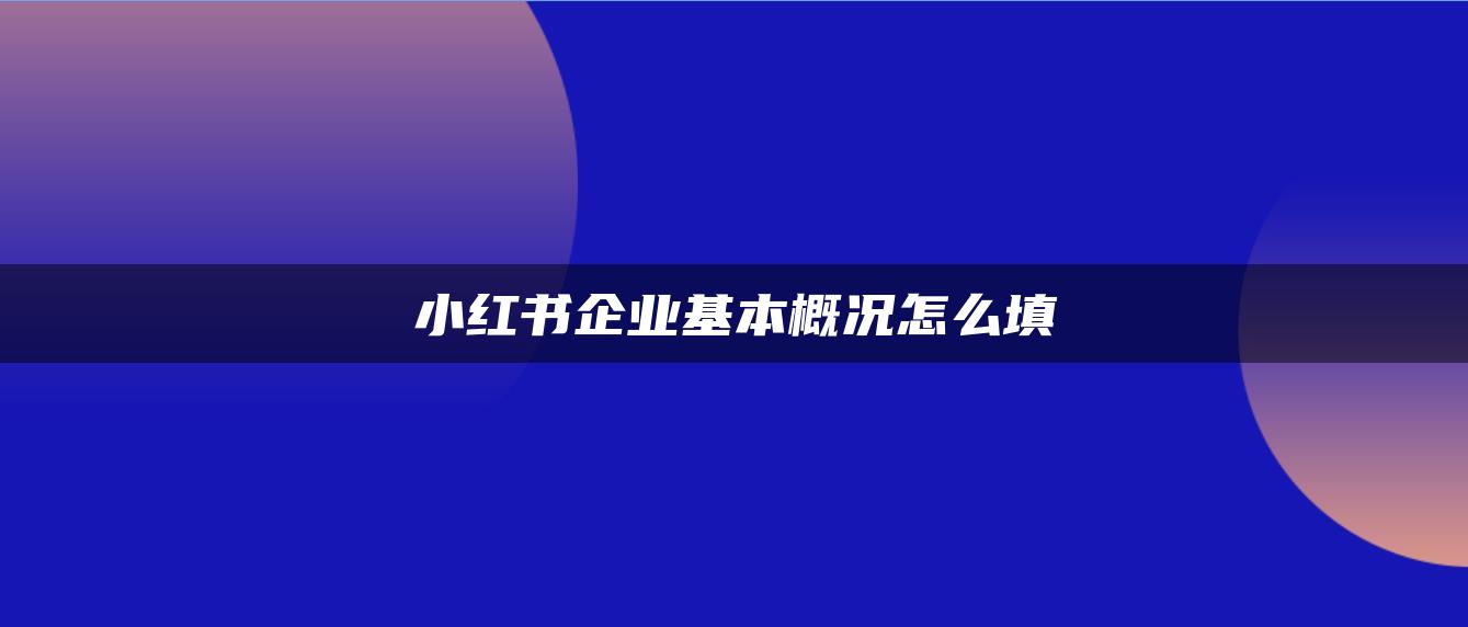 小紅書企業(yè)基本概況怎么填