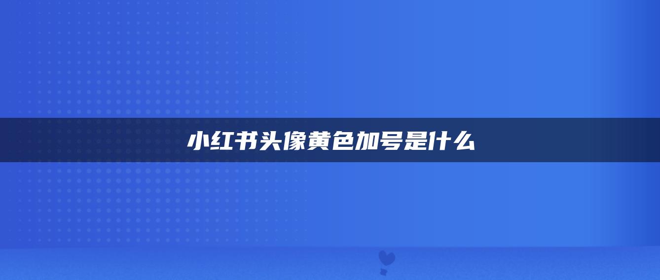 小紅書頭像黃色加號是什么