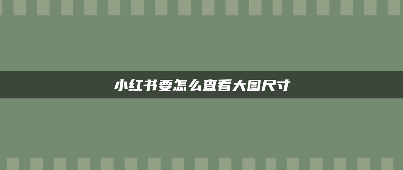 小紅書要怎么查看大圖尺寸