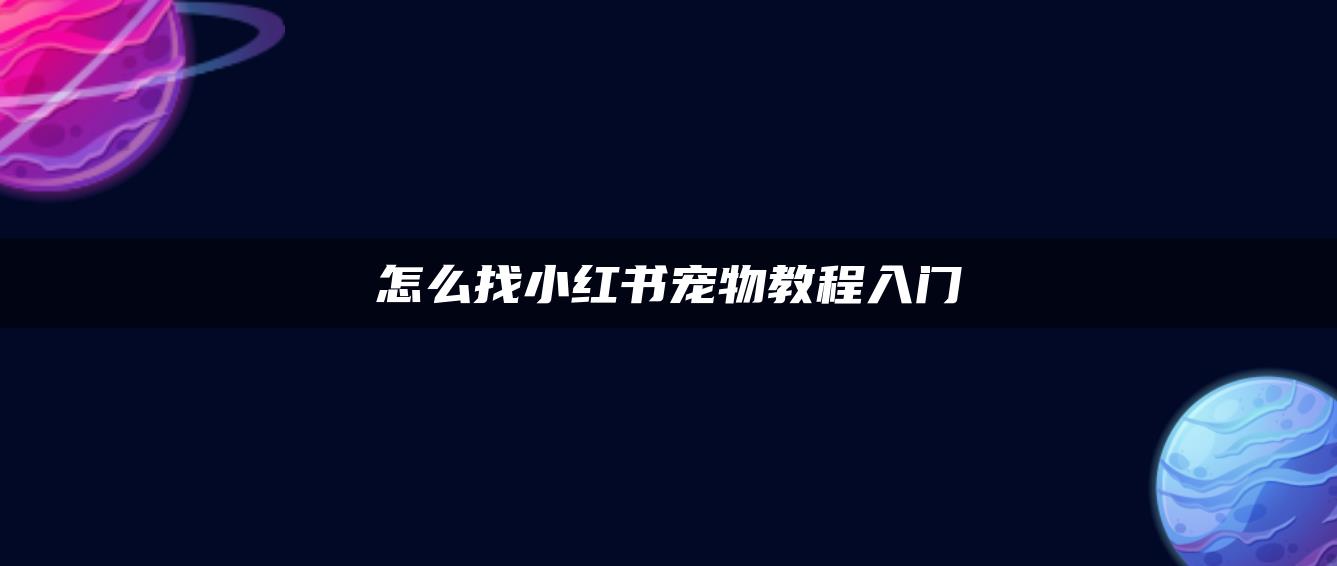 怎么找小紅書(shū)寵物教程入門(mén)