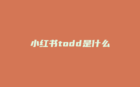 小紅書todd是什么意思