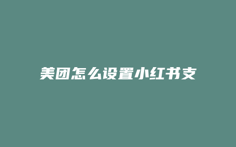 美團(tuán)怎么設(shè)置小紅書(shū)支付