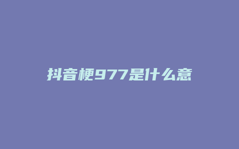 抖音梗977是什么意思