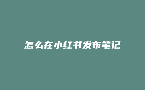 怎么在小紅書發(fā)布筆記賺錢