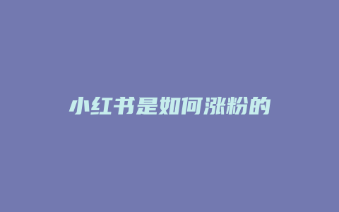 小紅書是如何漲粉的