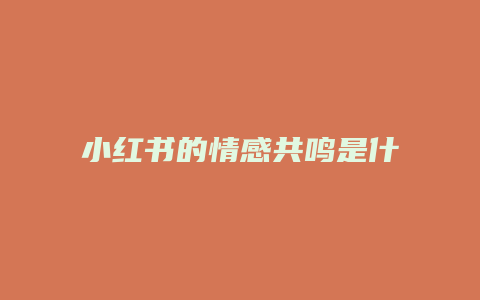 小紅書的情感共鳴是什么