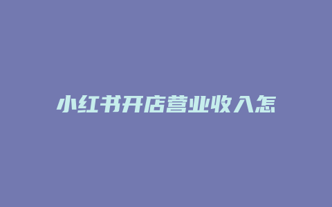 小紅書開店營業(yè)收入怎么填