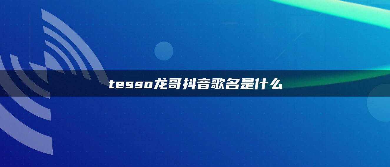 tesso龍哥抖音歌名是什么