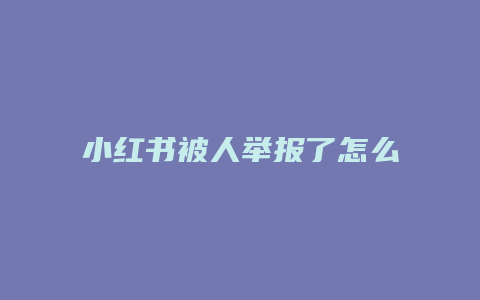 小紅書被人舉報(bào)了怎么申訴