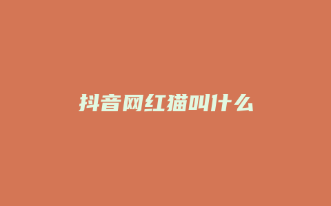 抖音網(wǎng)紅貓叫什么