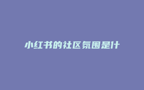 小紅書(shū)的社區(qū)氛圍是什么