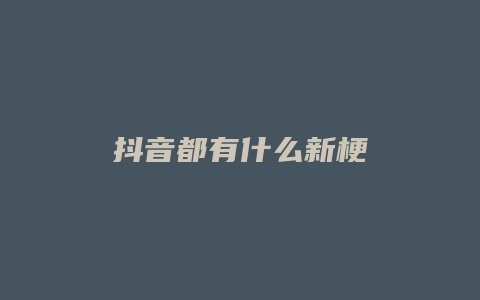 抖音都有什么新梗