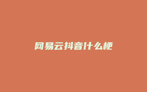 網(wǎng)易云抖音什么梗