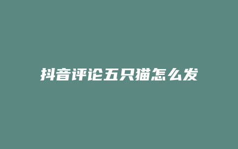 抖音評論五只貓?jiān)趺窗l(fā)