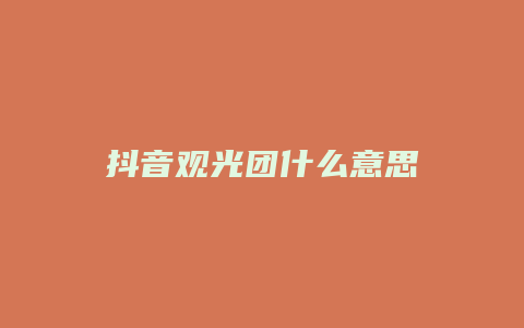 抖音觀光團什么意思