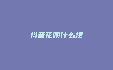 抖音花唄什么梗