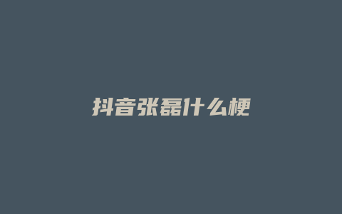 抖音張磊什么梗