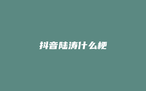 抖音陸濤什么梗