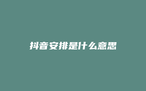 抖音安排是什么意思