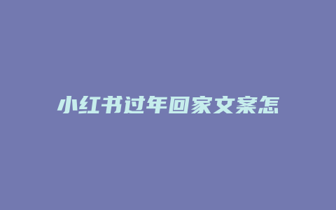 小紅書過年回家文案怎么寫