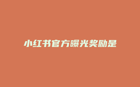 小紅書官方曝光獎(jiǎng)勵(lì)是什么