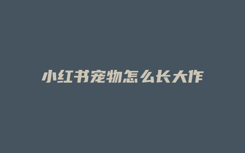 小紅書寵物怎么長大作文