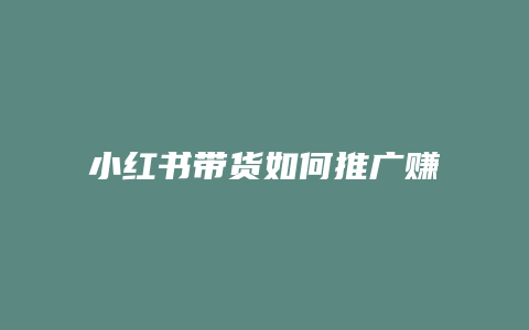 小紅書帶貨如何推廣賺錢