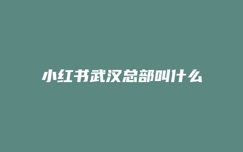 小紅書(shū)武漢總部叫什么公司