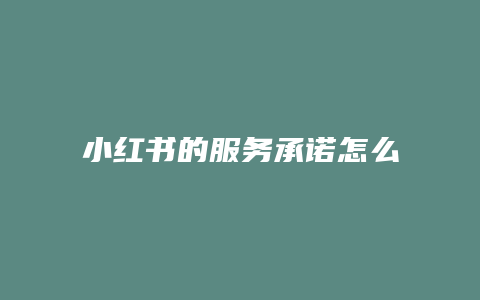 小紅書的服務(wù)承諾怎么寫