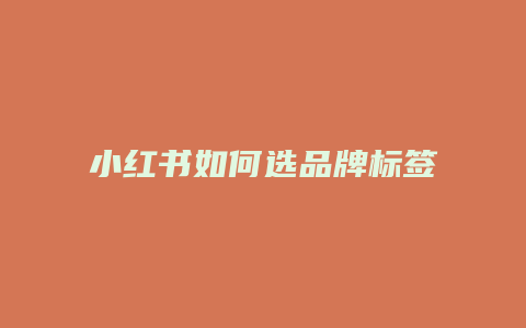 小紅書如何選品牌標(biāo)簽?zāi)? loading=