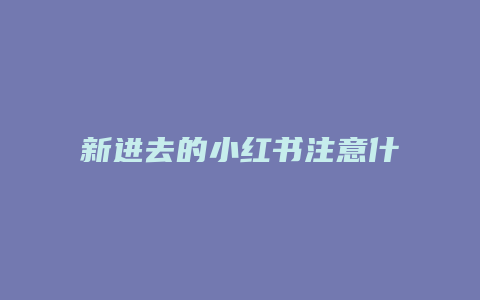 新進去的小紅書注意什么