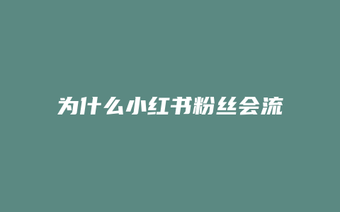 為什么小紅書(shū)粉絲會(huì)流失