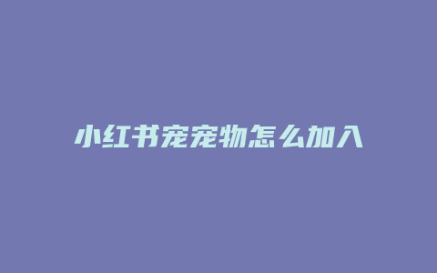 小紅書寵寵物怎么加入文案