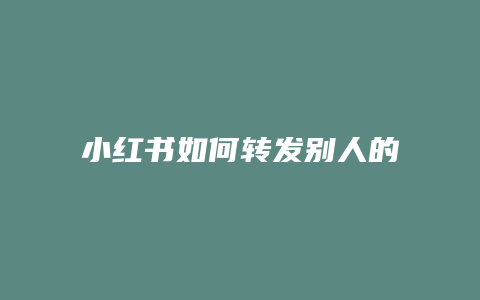 小紅書(shū)如何轉(zhuǎn)發(fā)別人的評(píng)論