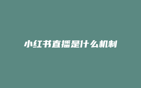 小紅書(shū)直播是什么機(jī)制呀