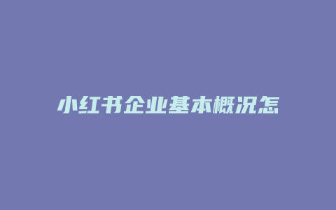 小紅書(shū)企業(yè)基本概況怎么寫