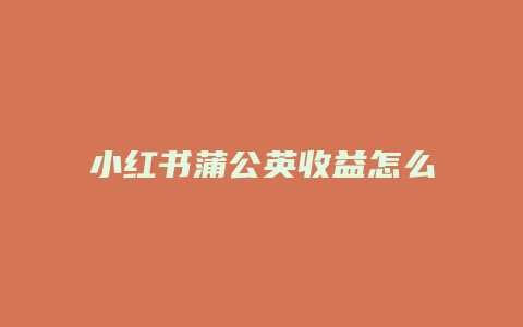 小紅書蒲公英收益怎么提現(xiàn)